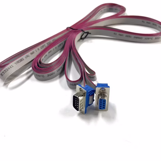 RS232 bis dB9